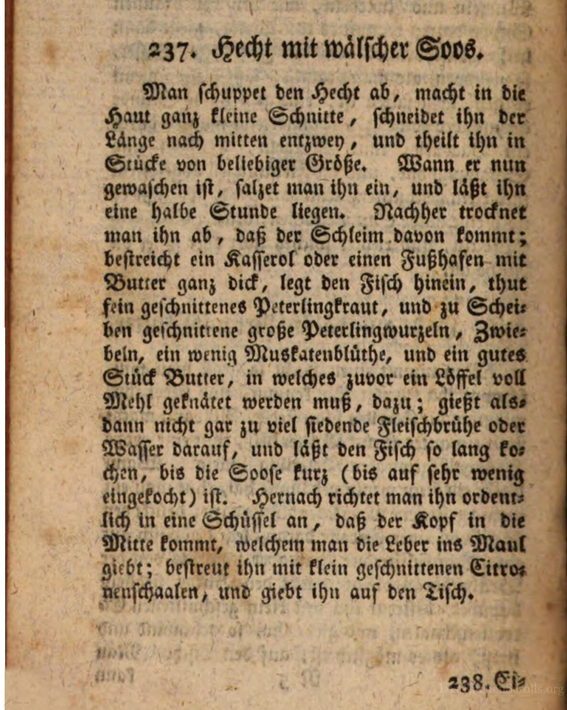 Hecht Mit Wälscher Sooß