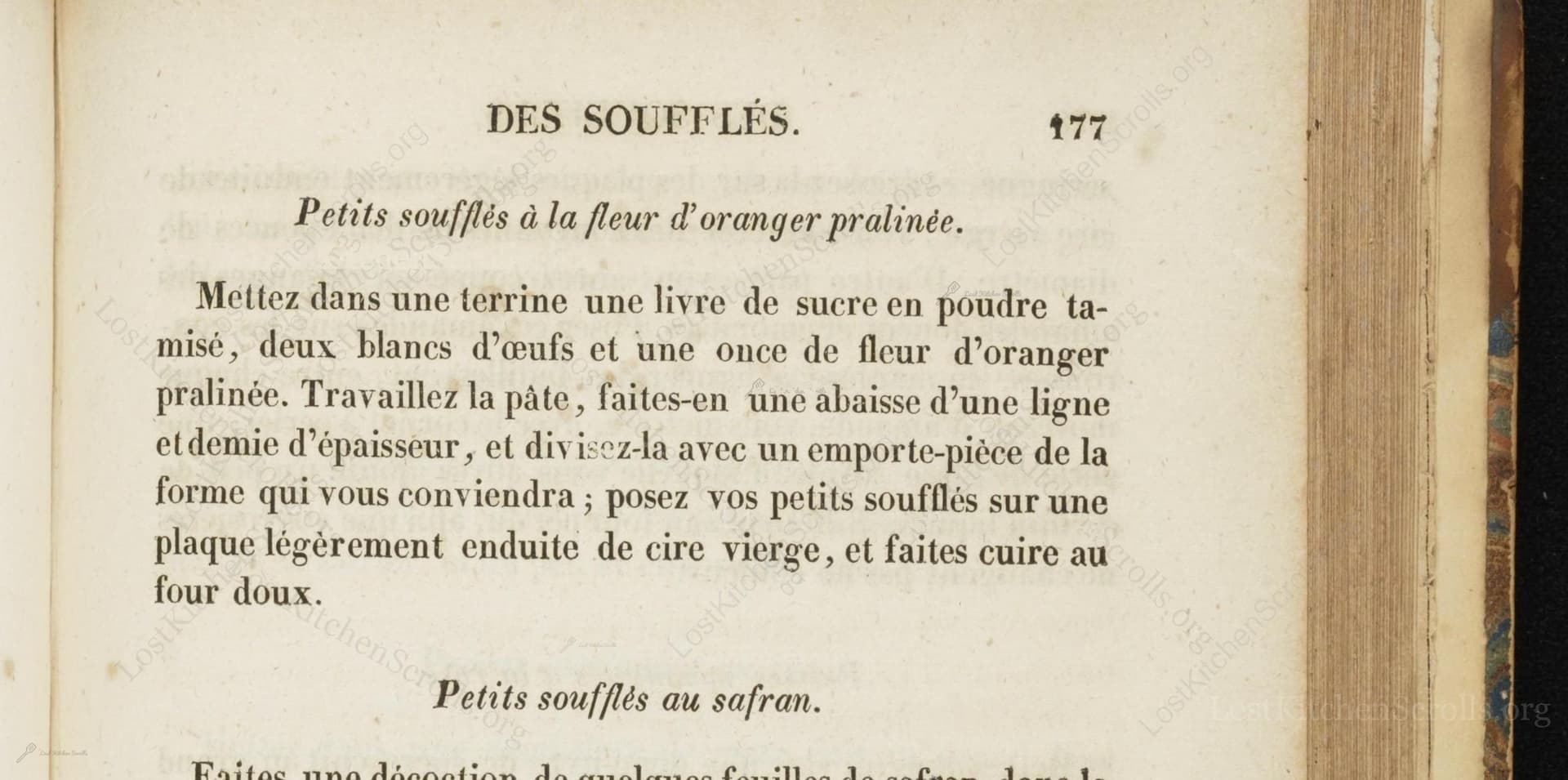 Petits Soufflés À La Fleur D'Oranger Pralinée