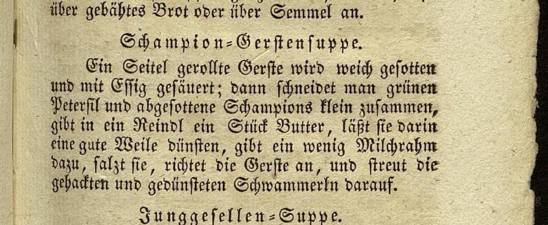 Schampion-Gerstensuppe