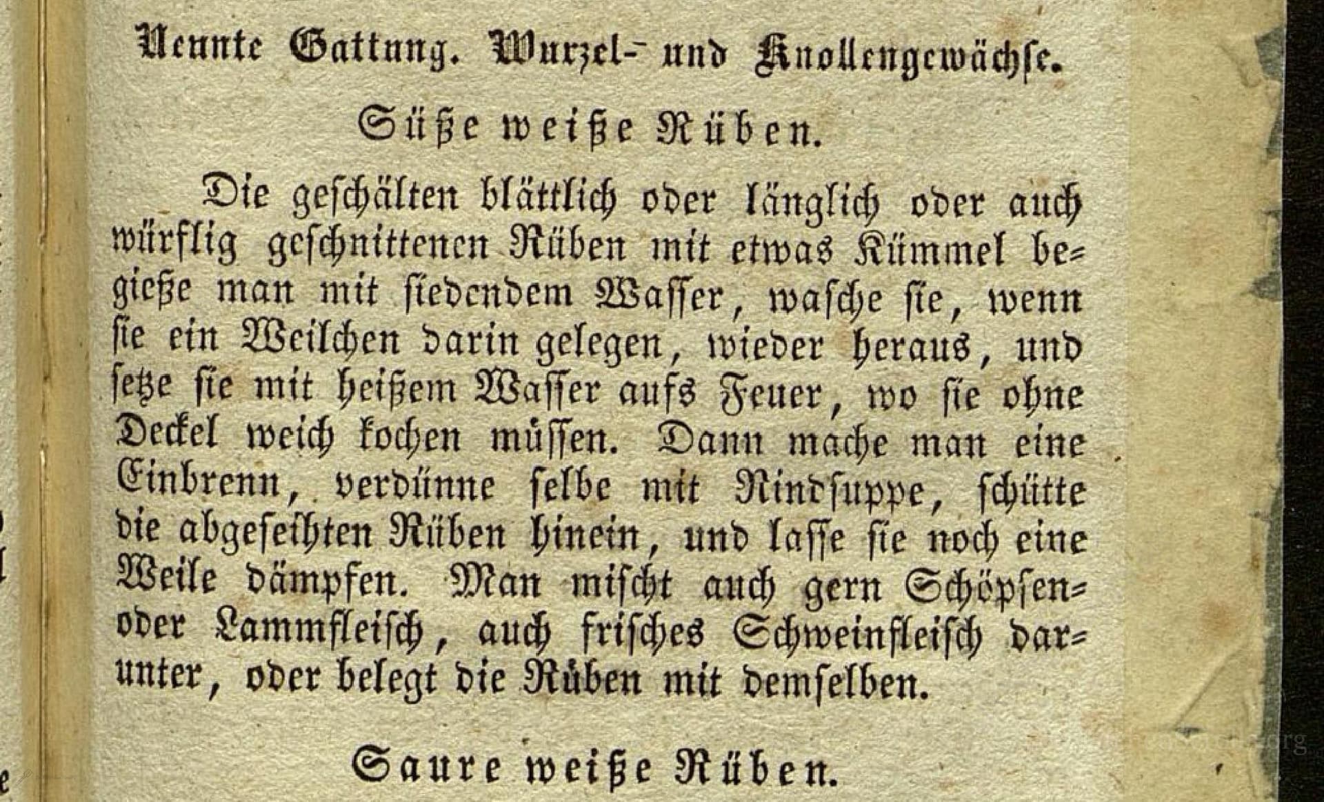 Süße Weiße Rüben