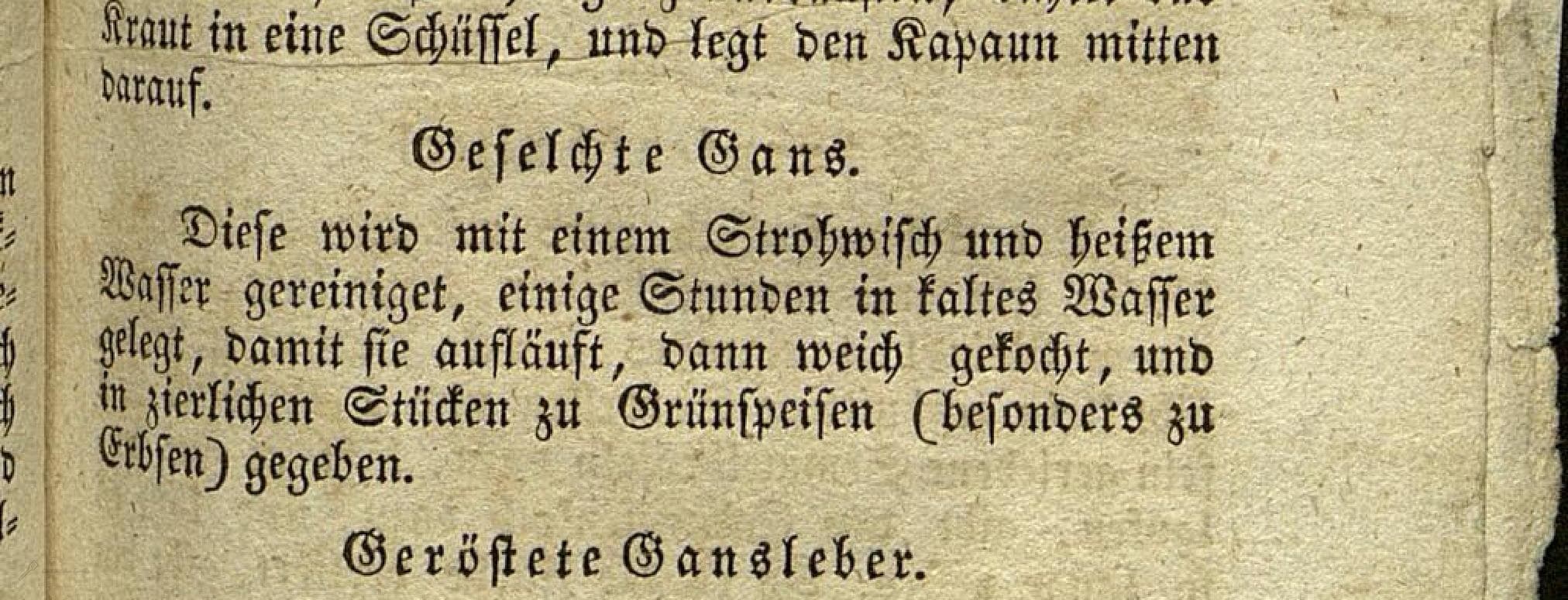 Historical recipe for Geselchte Gans