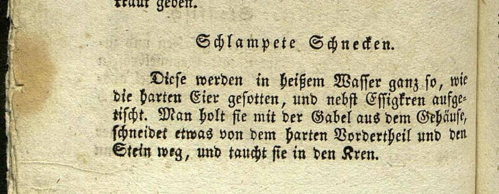 Schlampete Schnecken