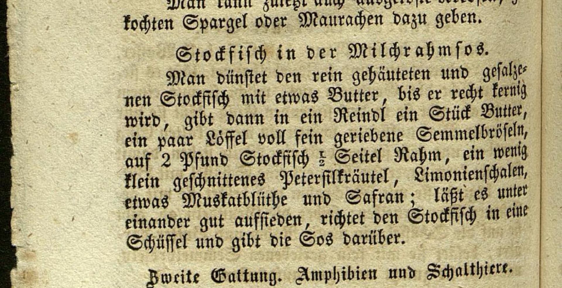 Stockfisch In Der Milchrahmsos