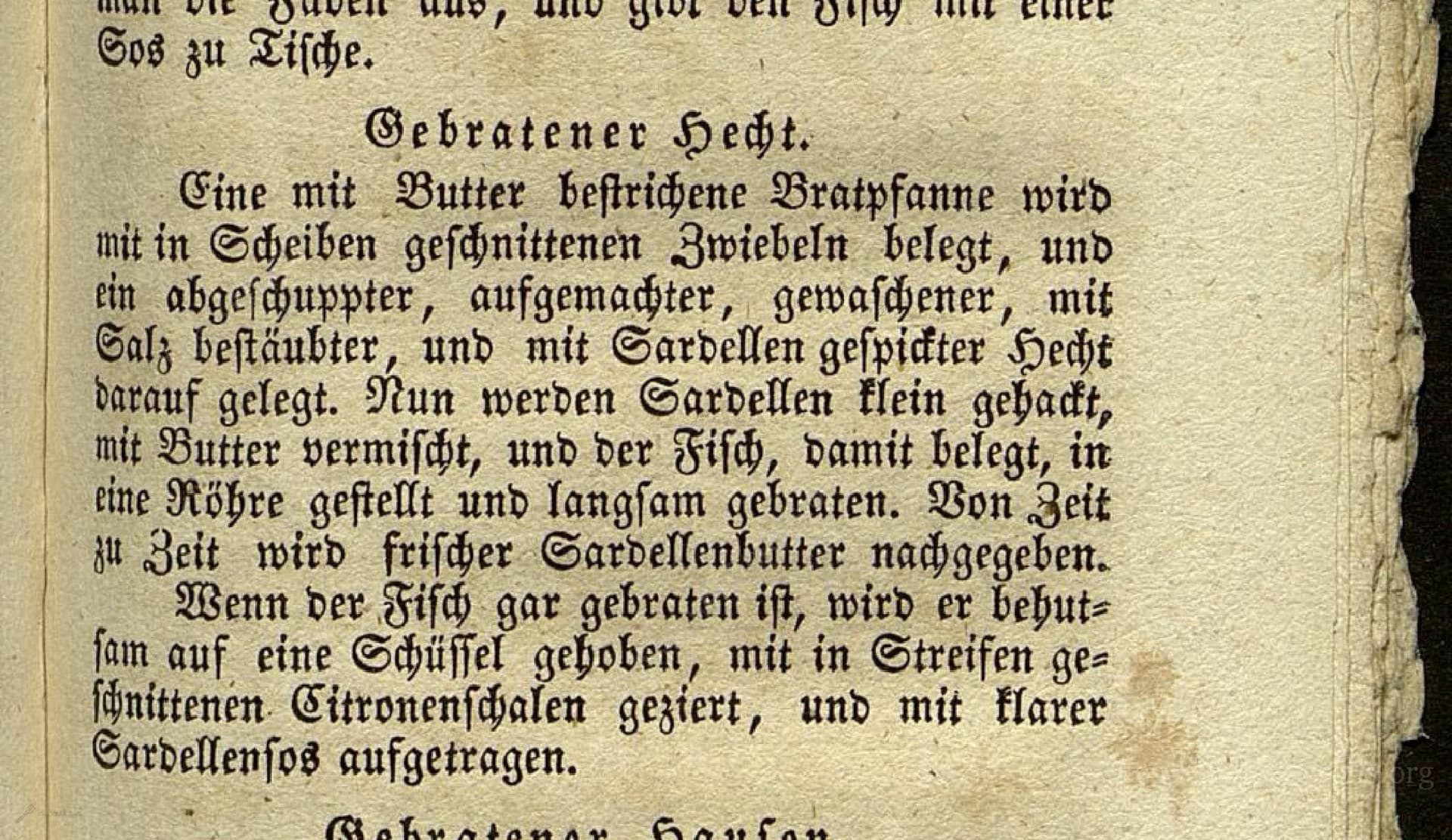 Gebratener Hecht