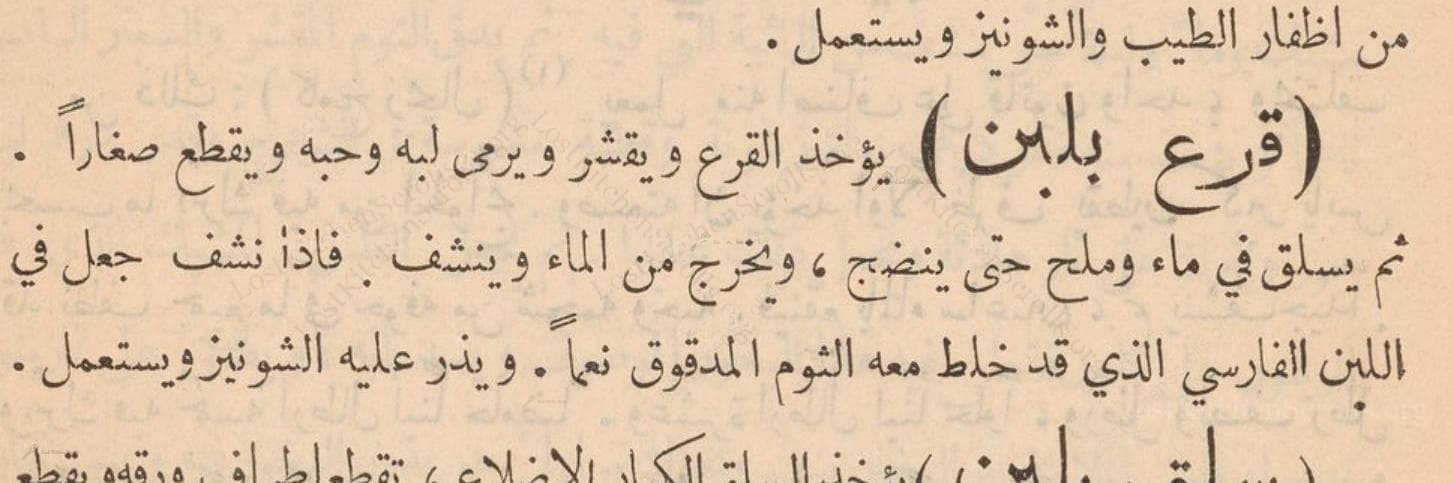 قرع بلبن