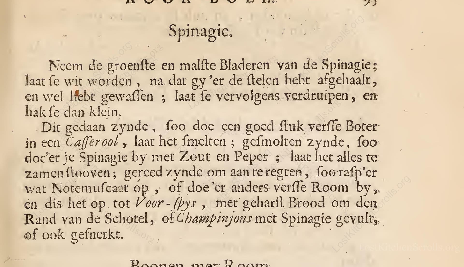 Spinagie