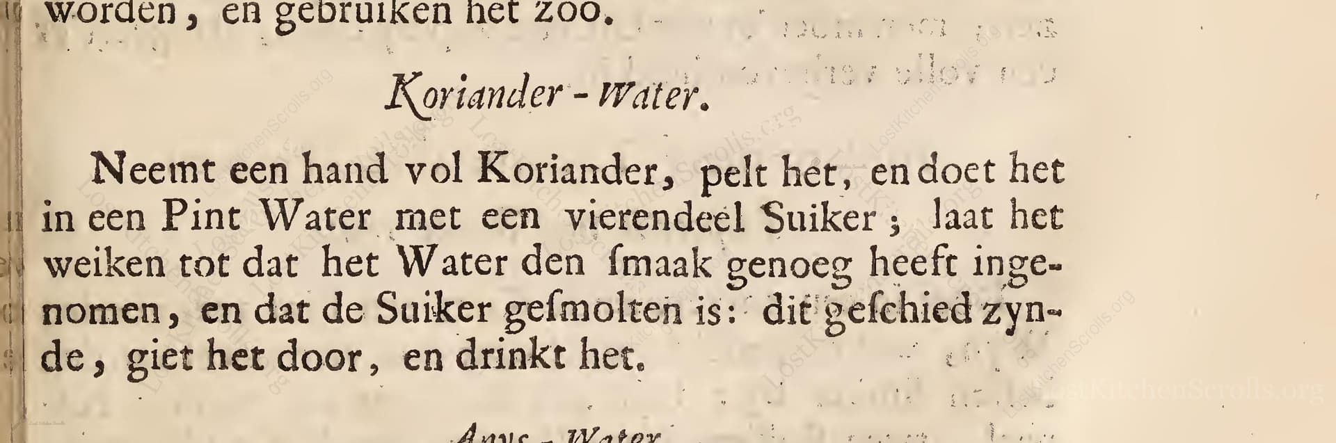 Koriander - Water