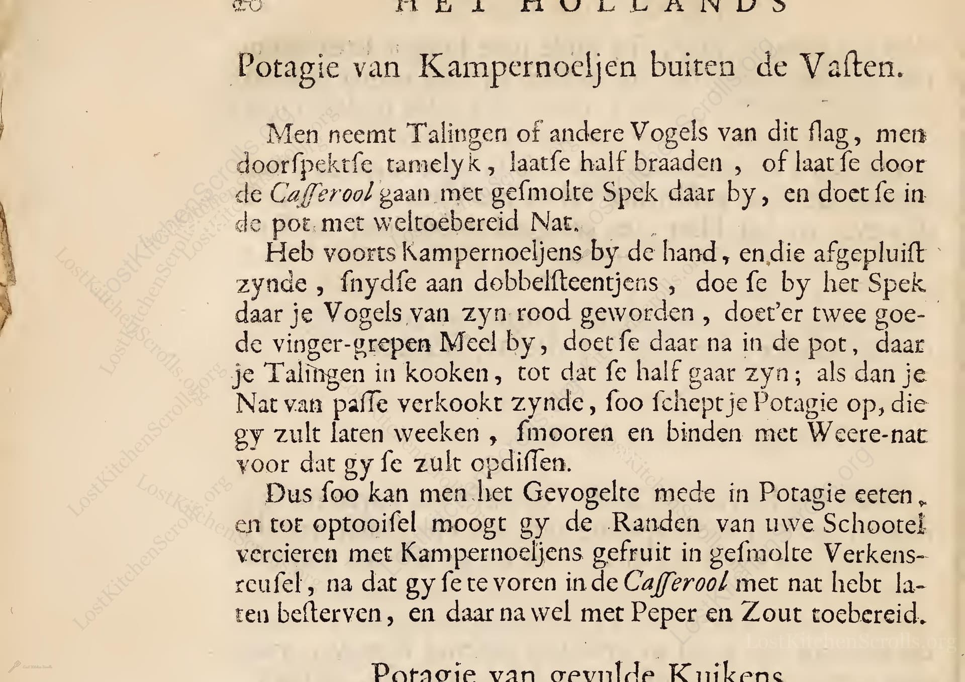 Potagie Van Kampernoeljen Buiten De Vasten
