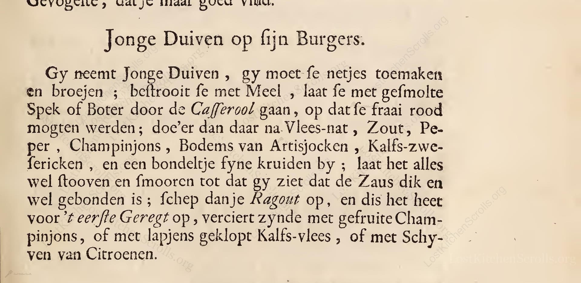 Jonge Duiven Op Sijn Burgers