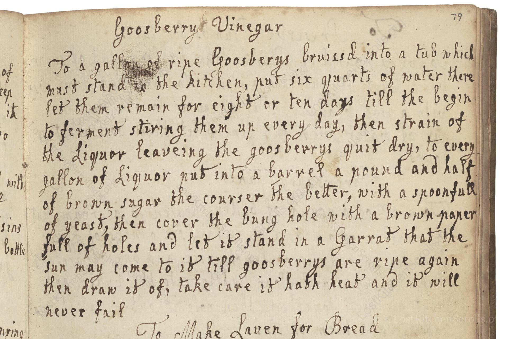 Goosberry Vinegar