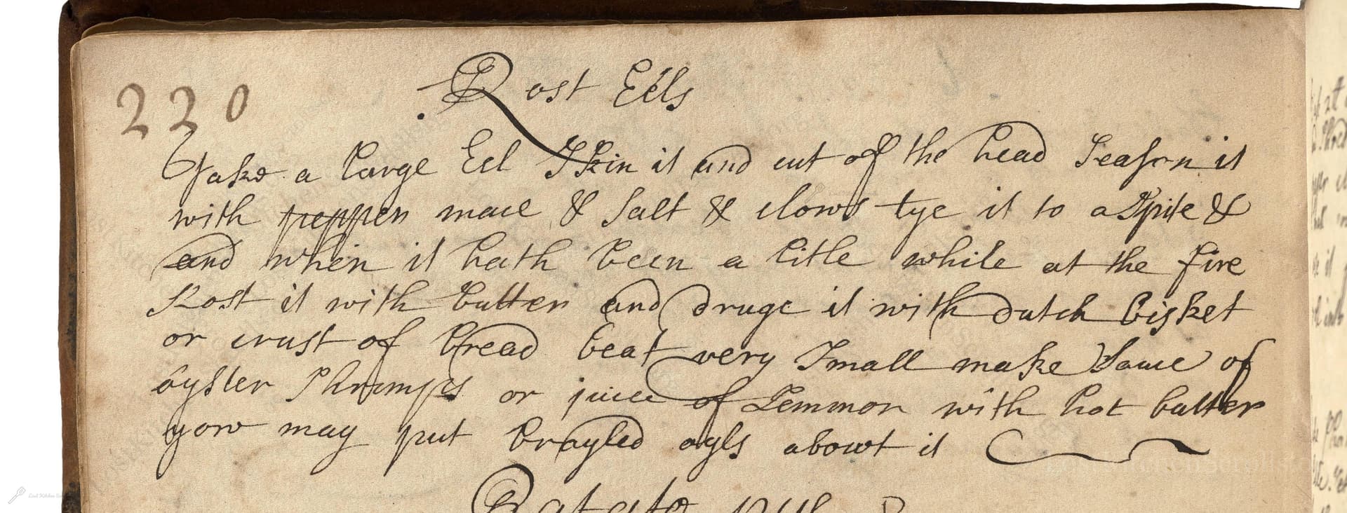 Rost Eels