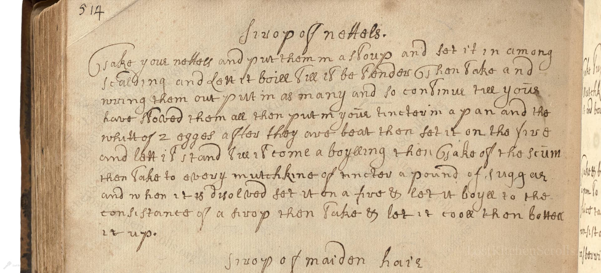 Siurop Of Nettels