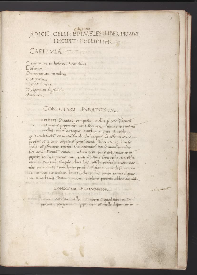 Apicius - De re coquinaria (handwritten excerpts) - Click to view recipe in book