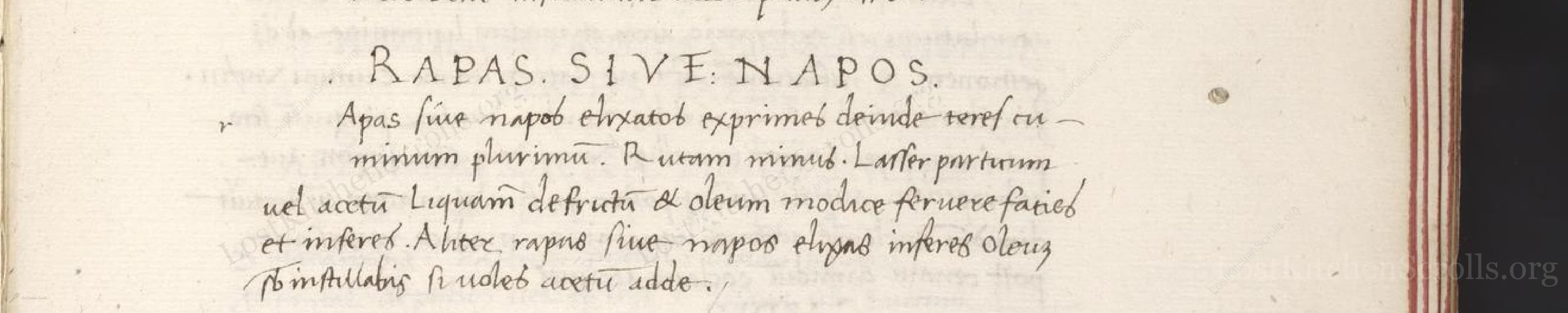 Historical recipe for Rapas Sive Napos