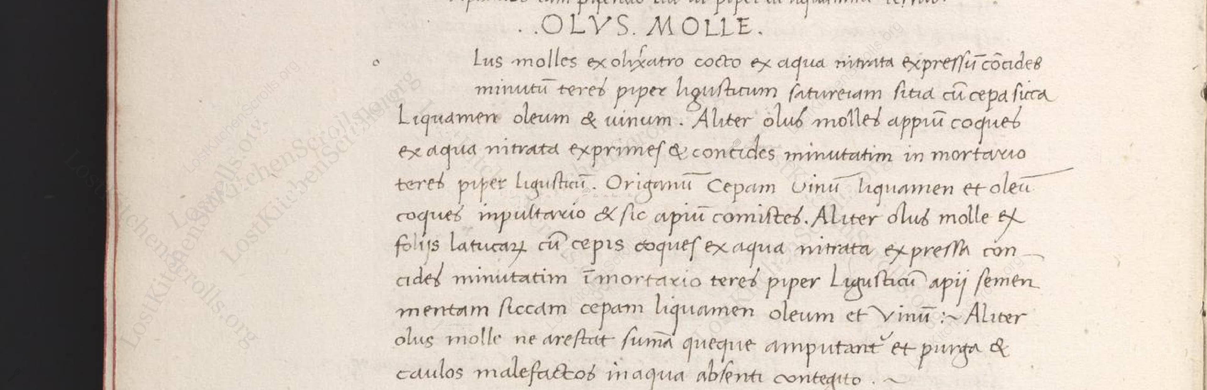 Historical recipe for Olus Molle