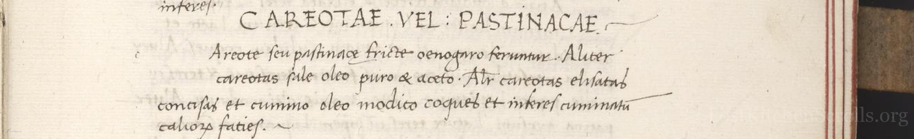 Historical recipe for Carotae Vel Pastinacae