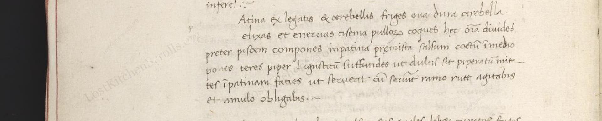 Atina Ex Legatis Et Cerebellis