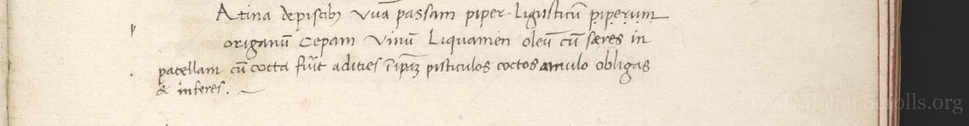 Adina De Piscibus
