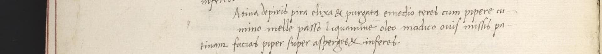 Aliter De Piris