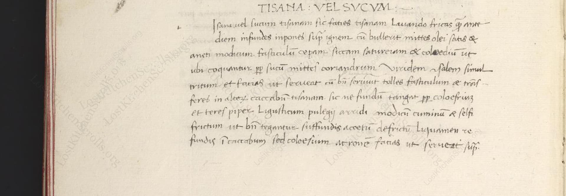 Tisana: Vel Sucum