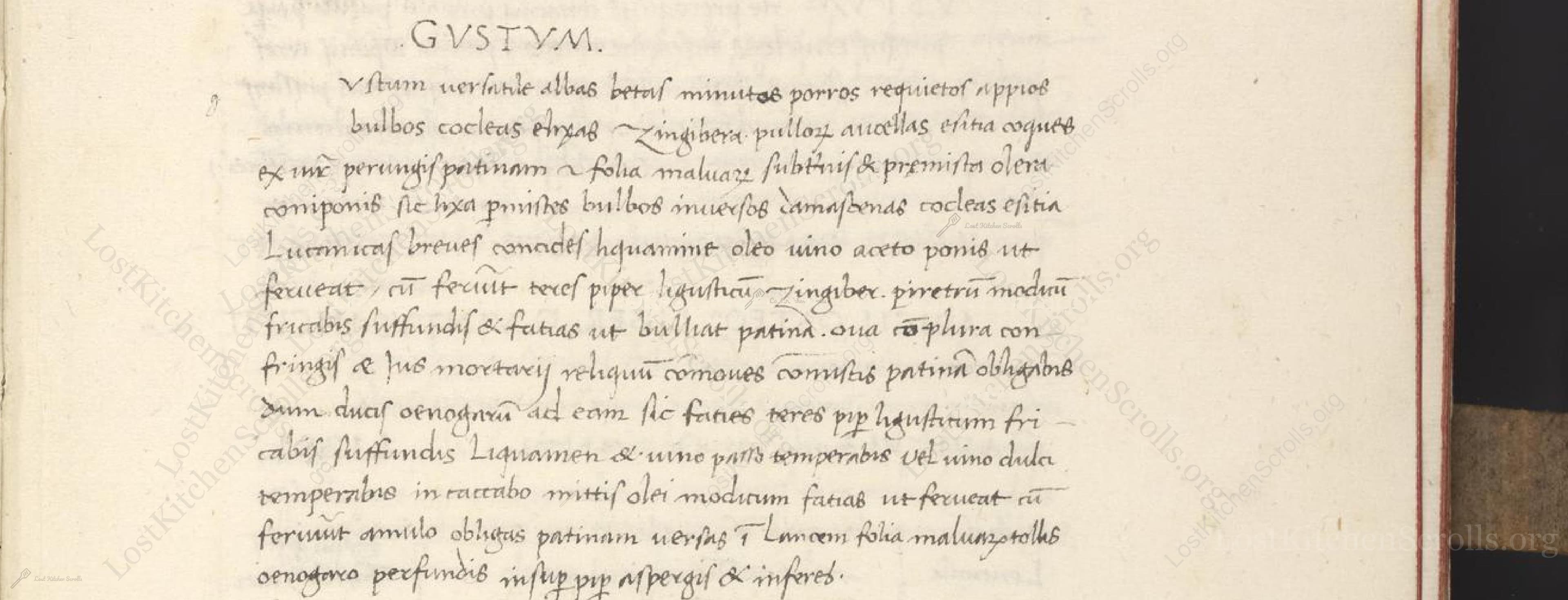 Historical recipe for Gustum