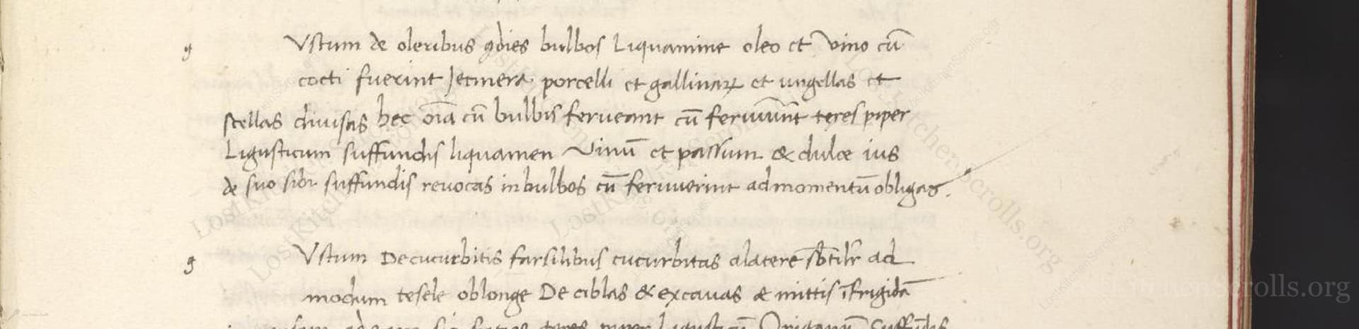 Ustum De Oleribus