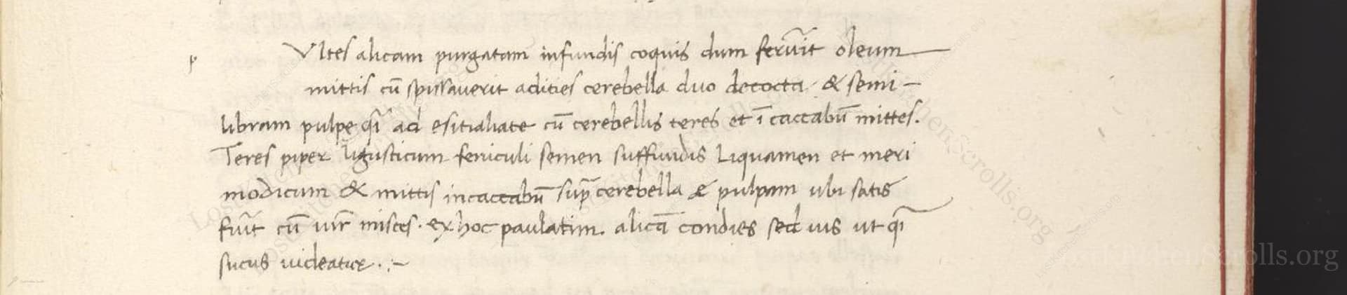 Vtiles Alicam Purgatam Infundis