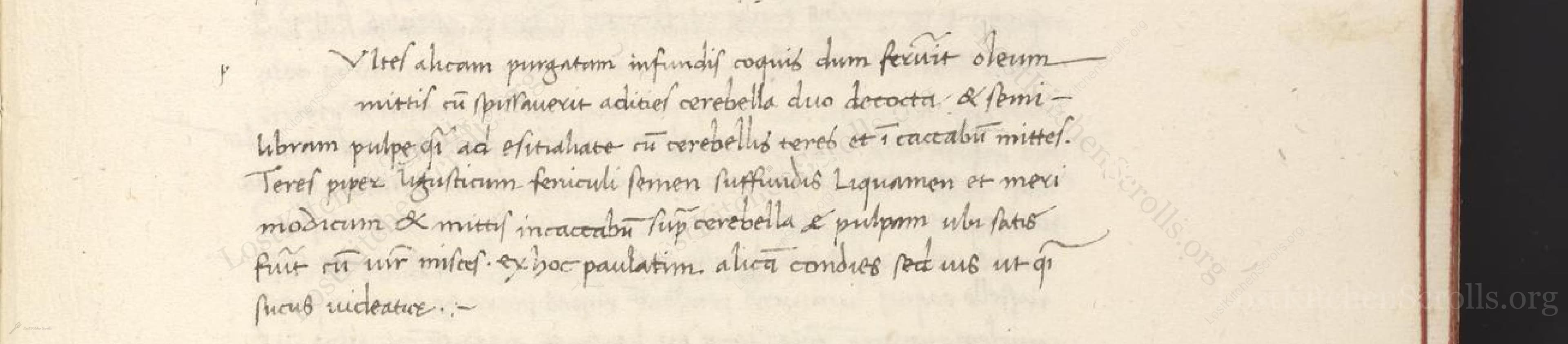 Historical recipe for Vtiles Alicam Purgatam Infundis