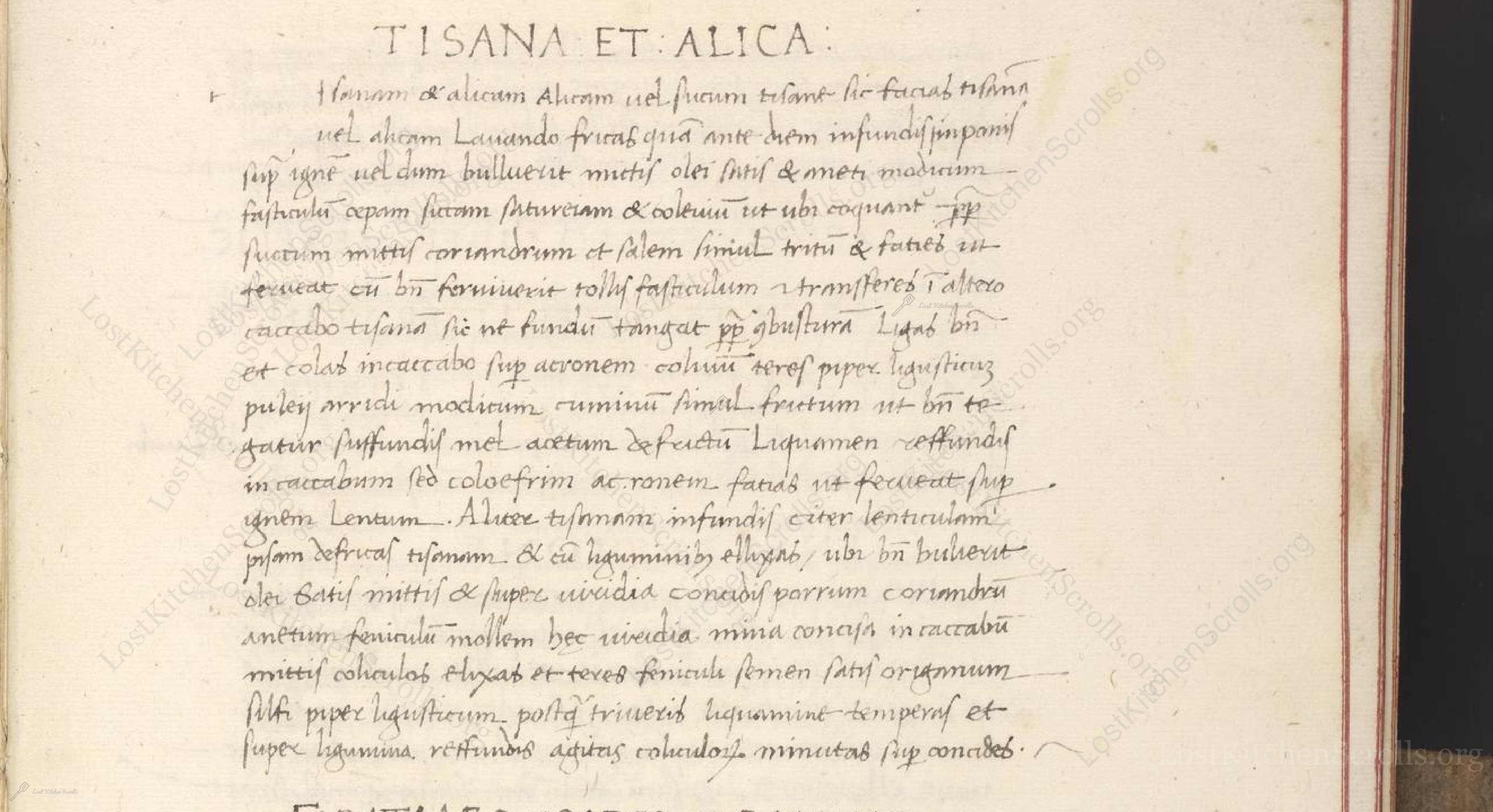 Historical recipe for Tisana Et Alica