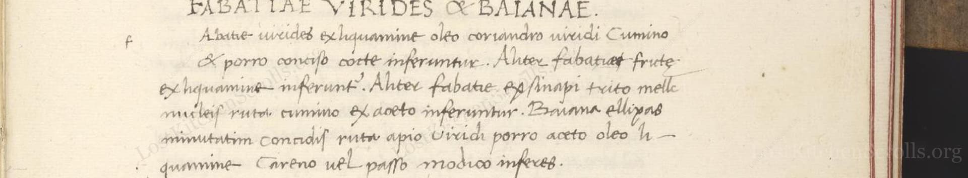 Fabatiae Virides Et Baianae