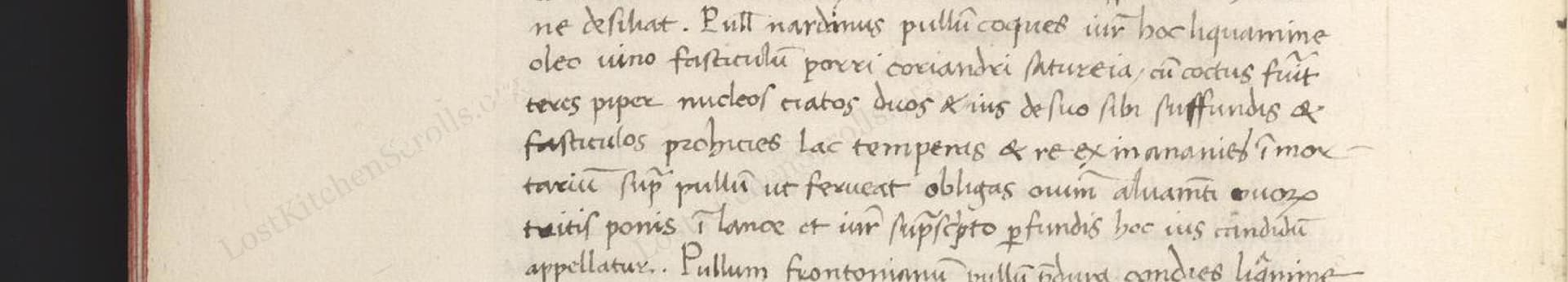 Pullus Nardinus