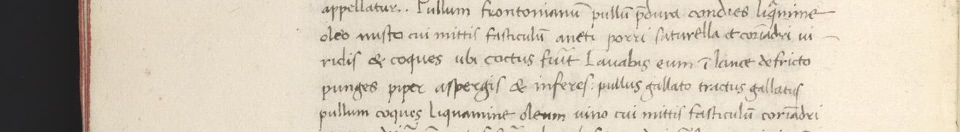 Pullum Frontonianum