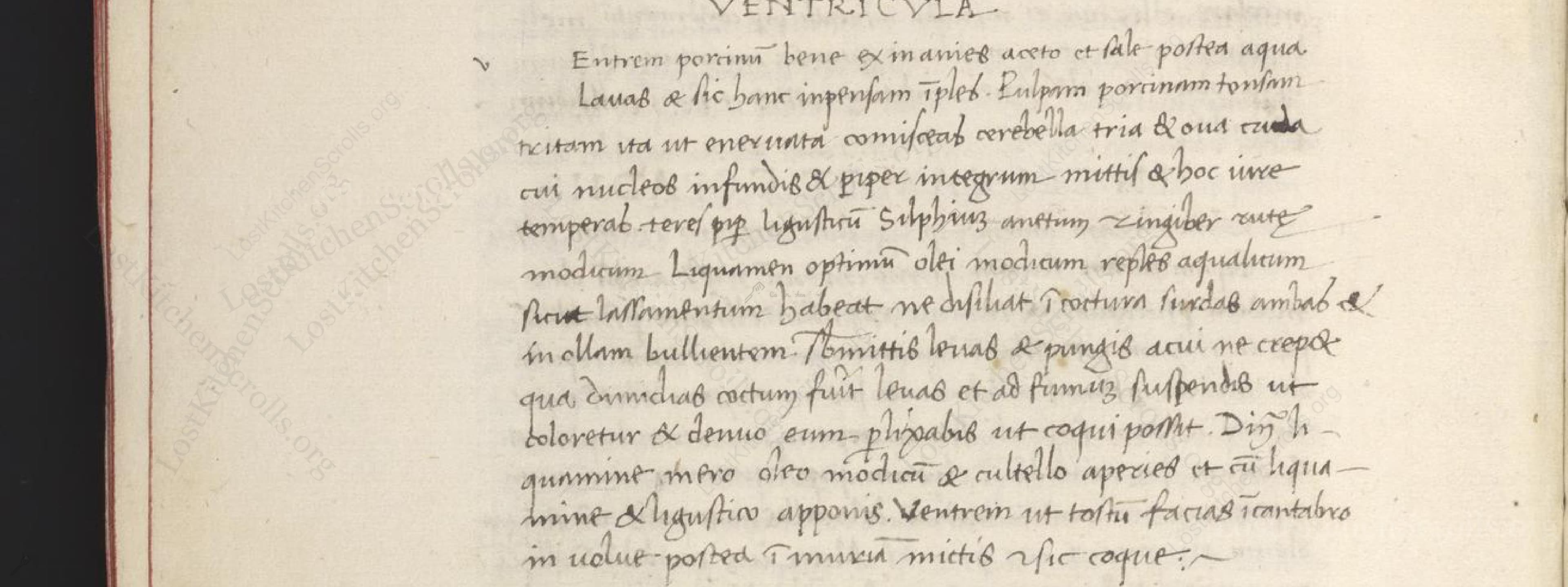 Historical recipe for Ventricula