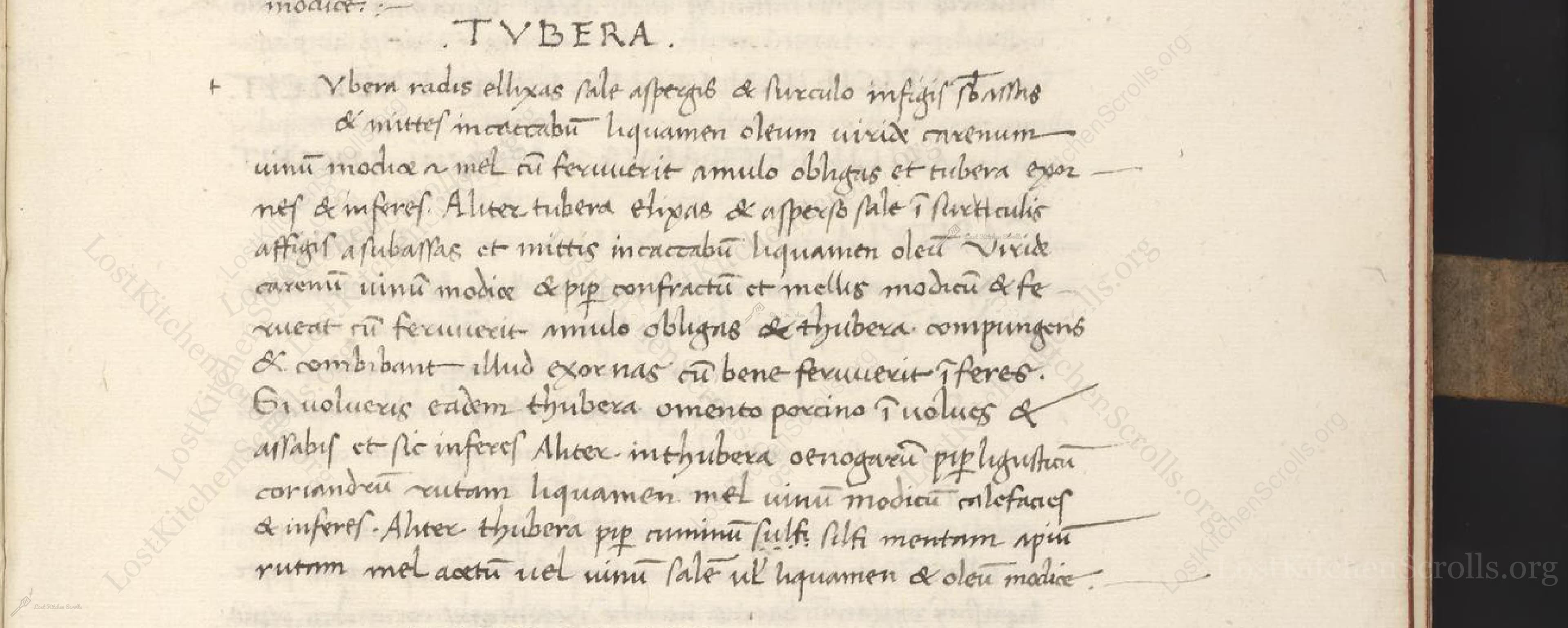 Historical recipe for Tubera