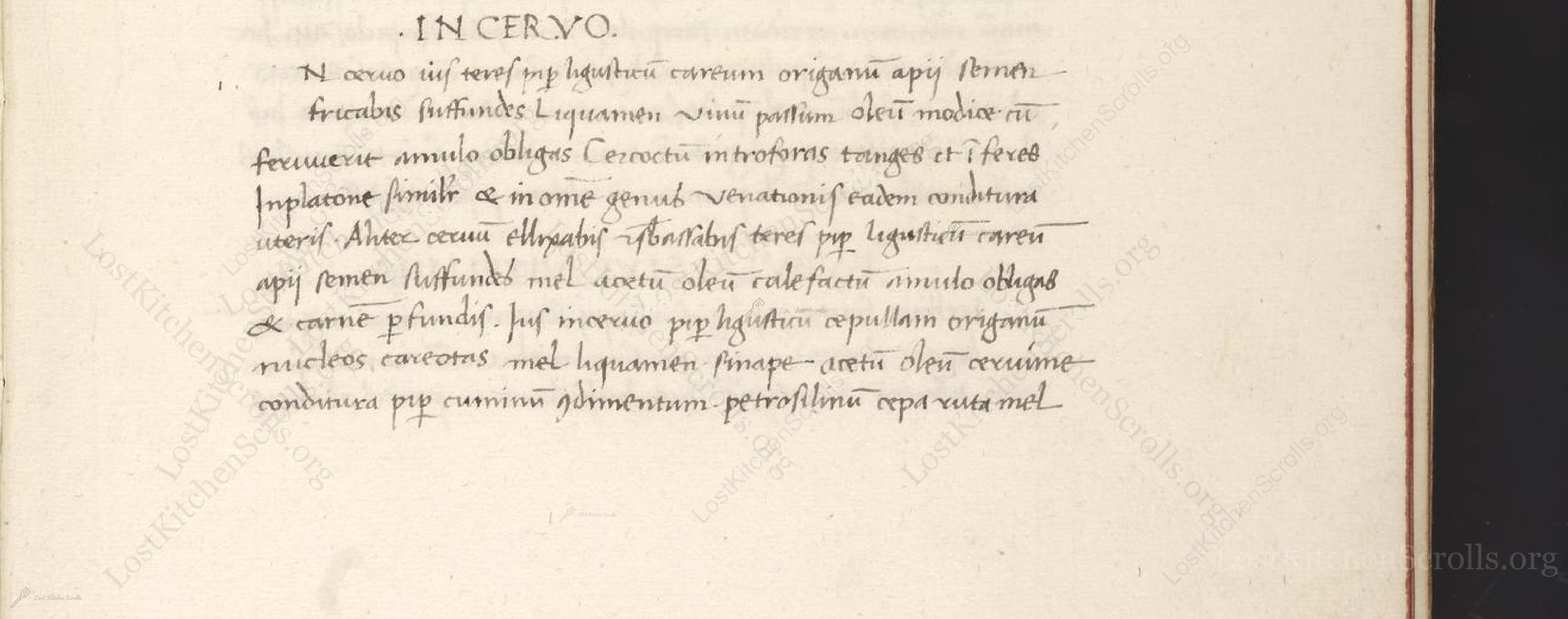 Historical recipe for In Cervo