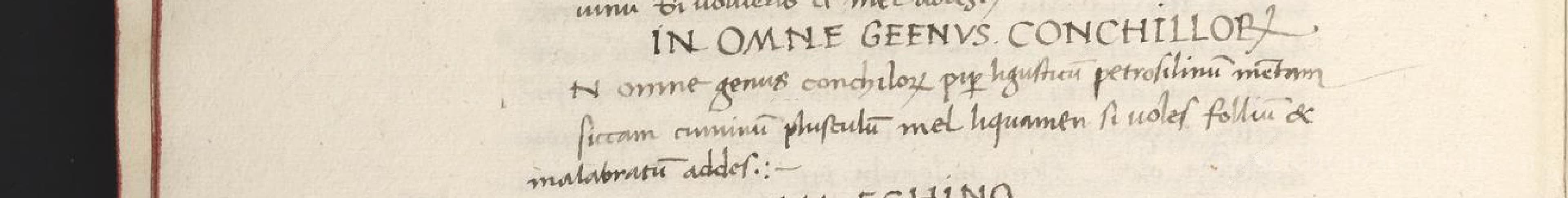Historical recipe for In Omne Genus Conchiliorum