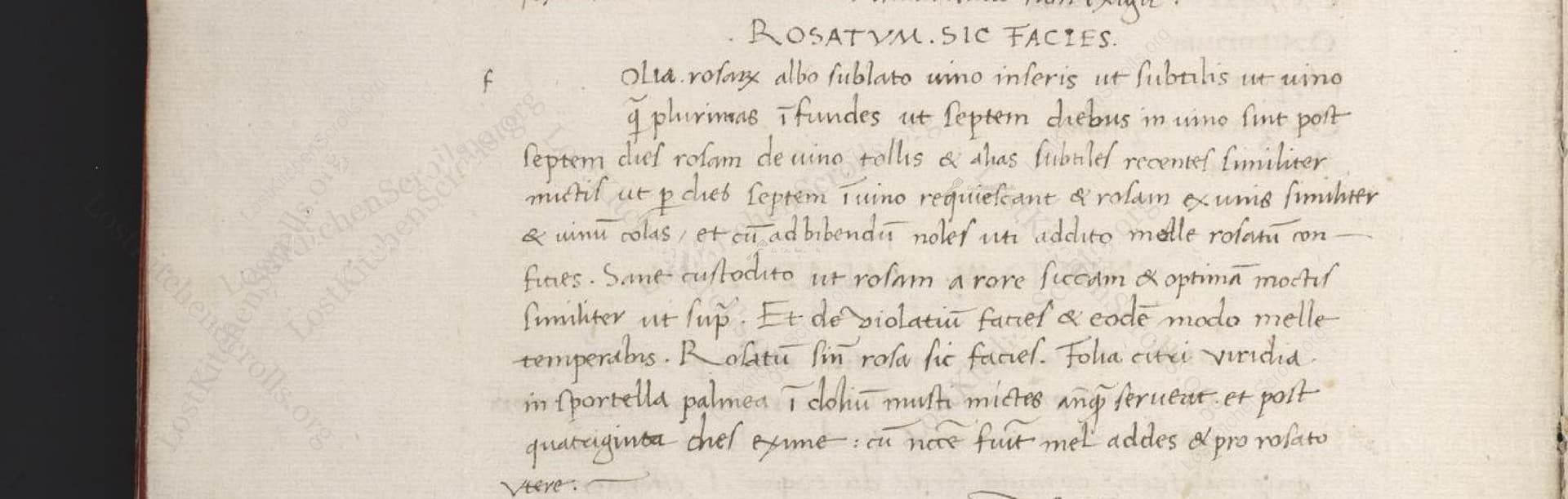 Rosatum Sic Facies