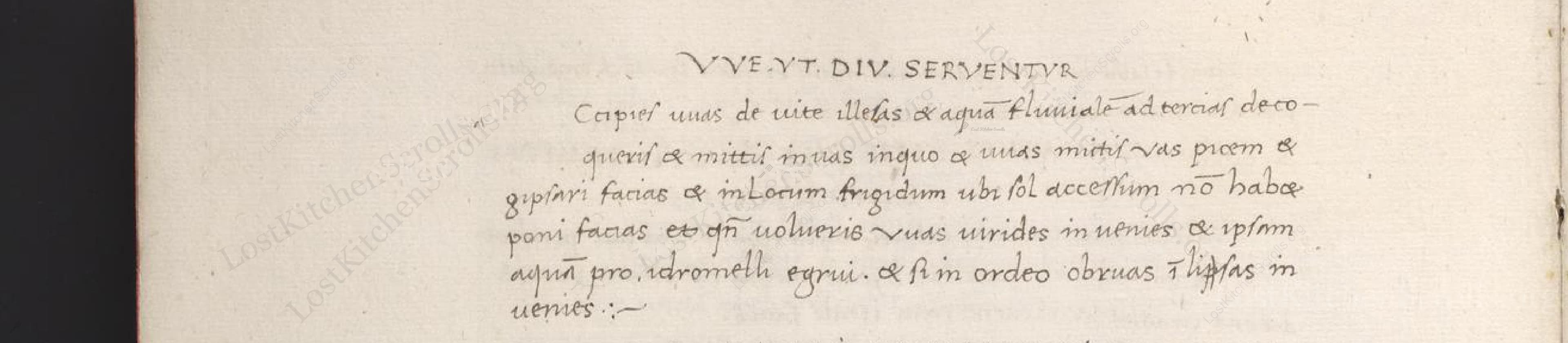 Historical recipe for Uvae Ut Diu Serventur