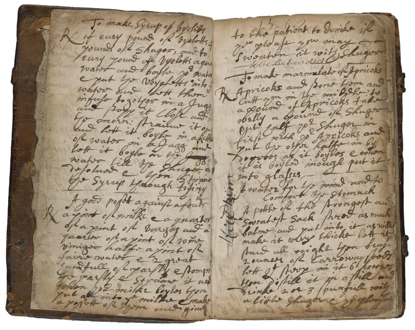 Medicinal and cookery recipes of Mary Baumfylde - Click to view recipe in book