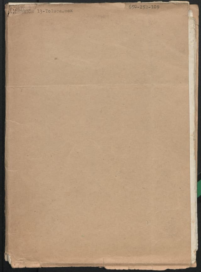 Mexican Cooking Manuscripts B. Patoni - Click to view recipe in book