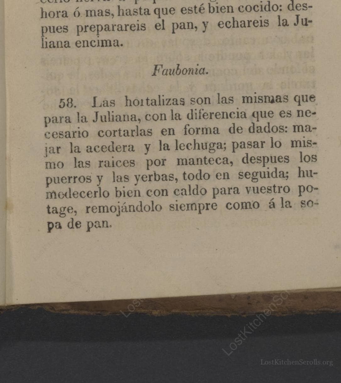 Faubonia
