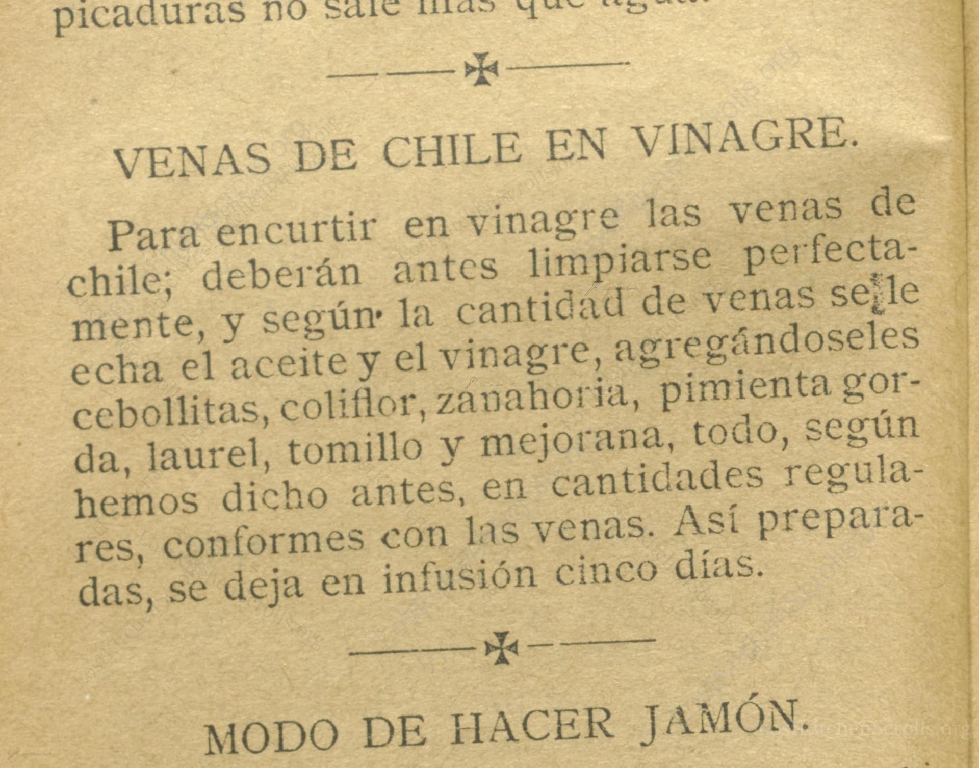 Venas De Chile En Vinagre
