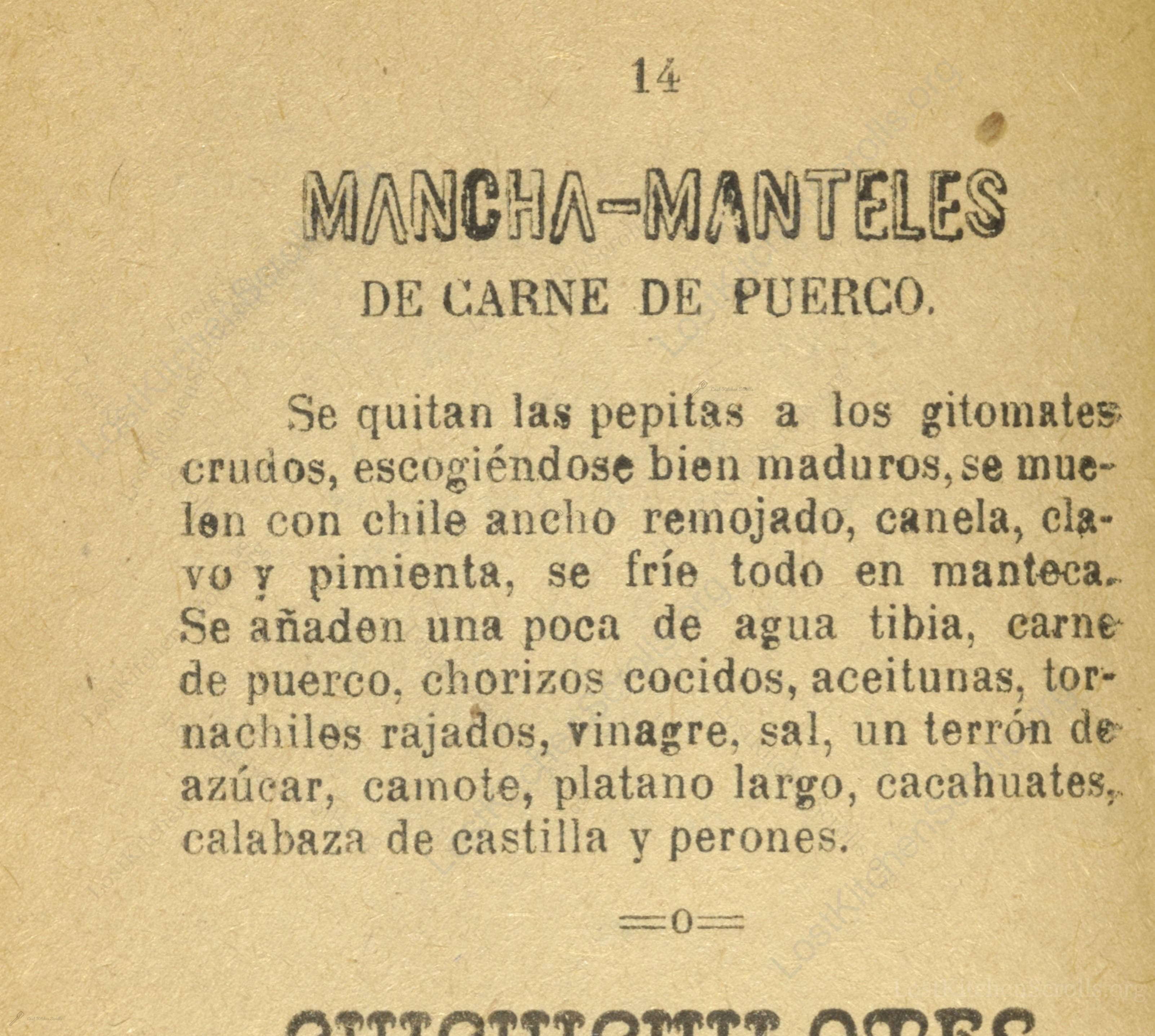 Historical recipe for Mancha-Manteles De Carne De Puerco