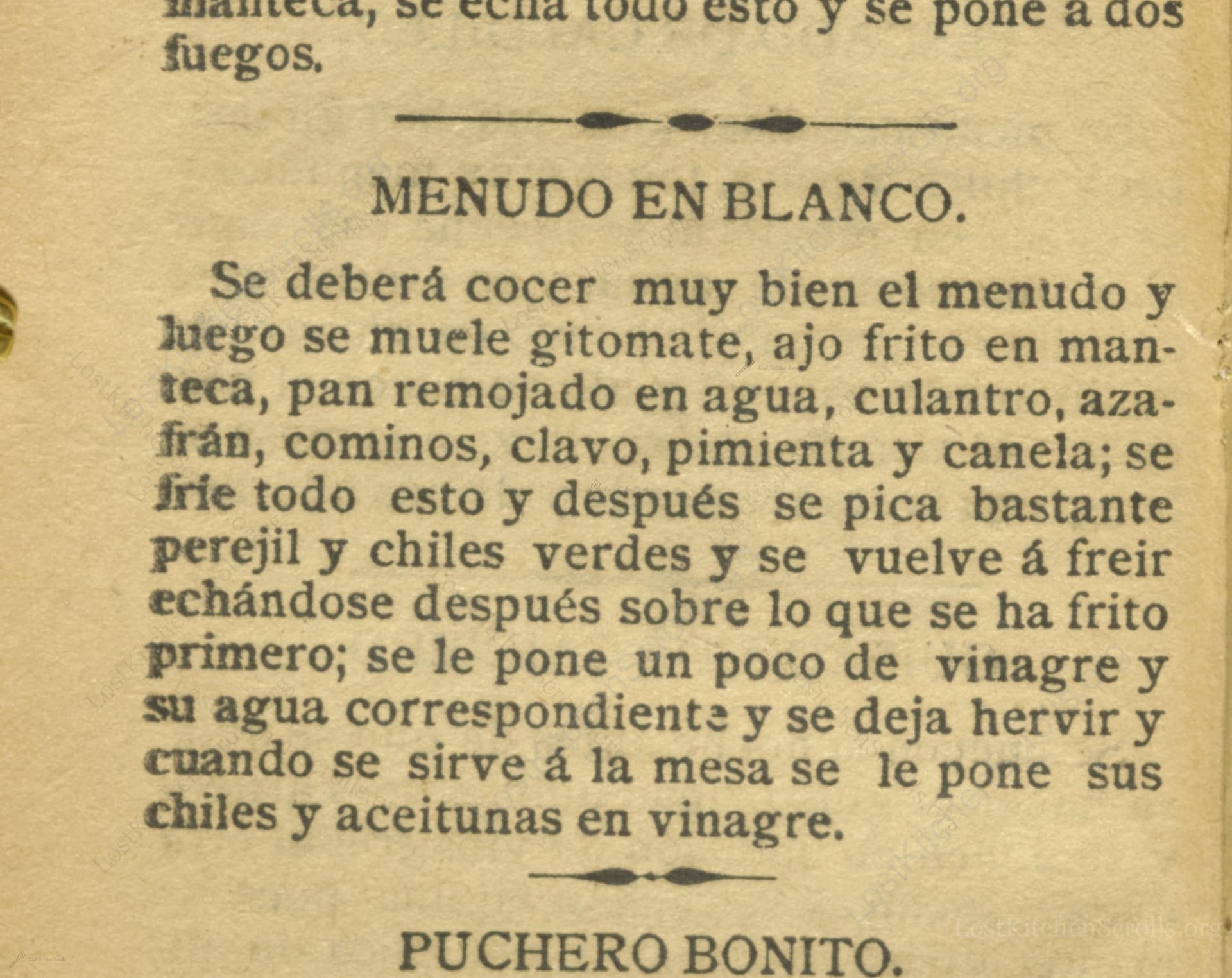 Menudo En Blanco
