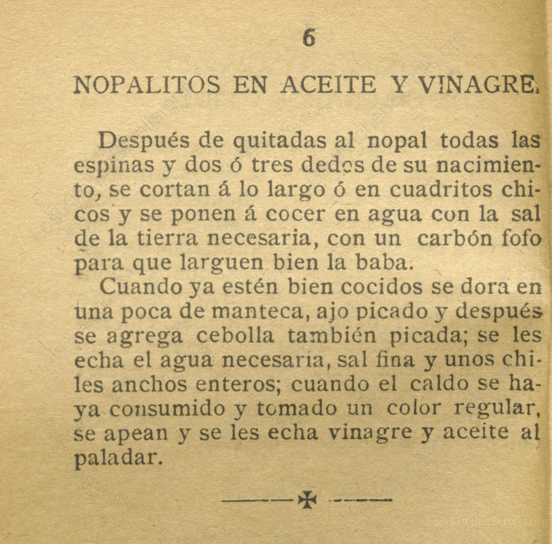 Nopalitos En Aceite Y Vinagre