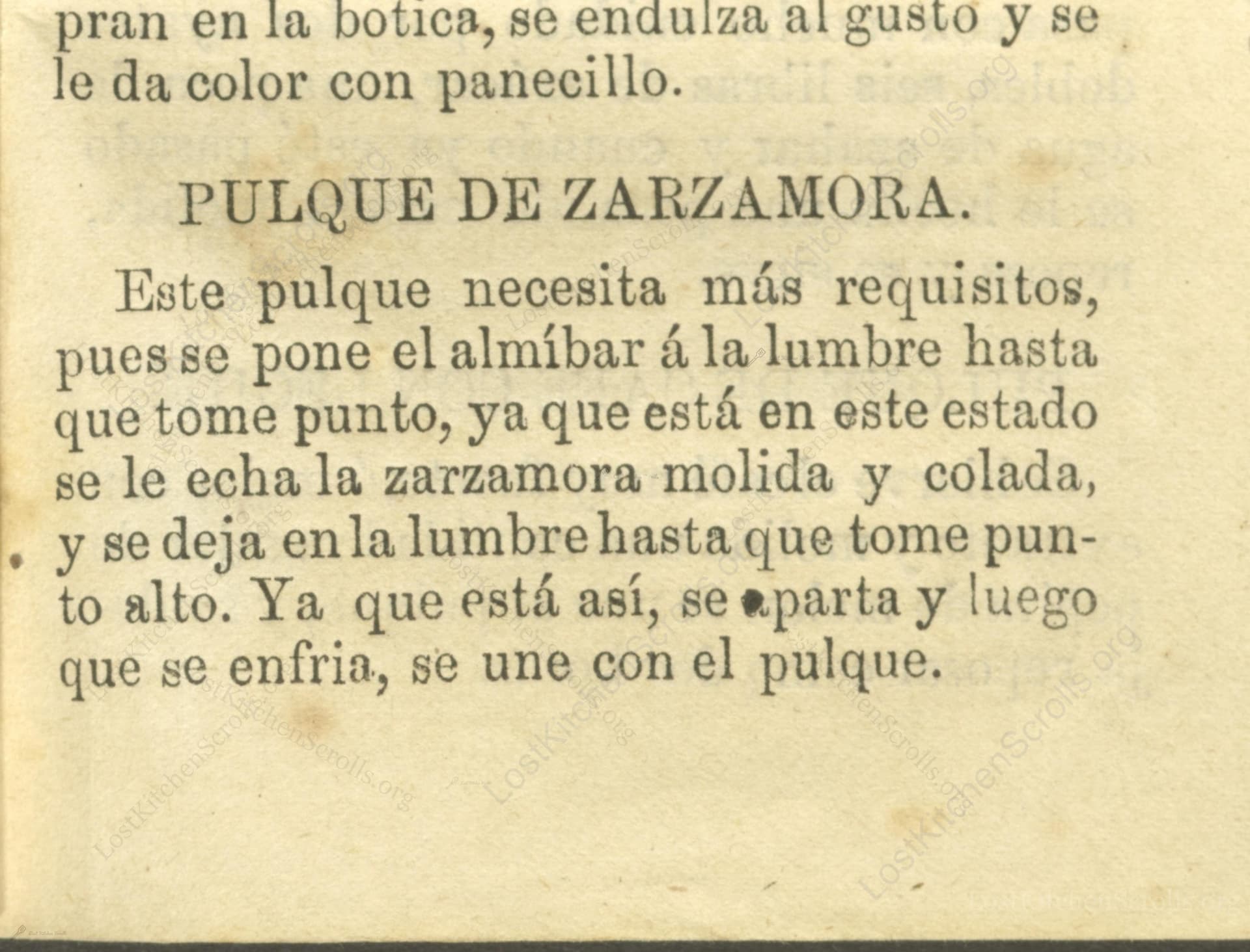 Pulque De Zarzamora