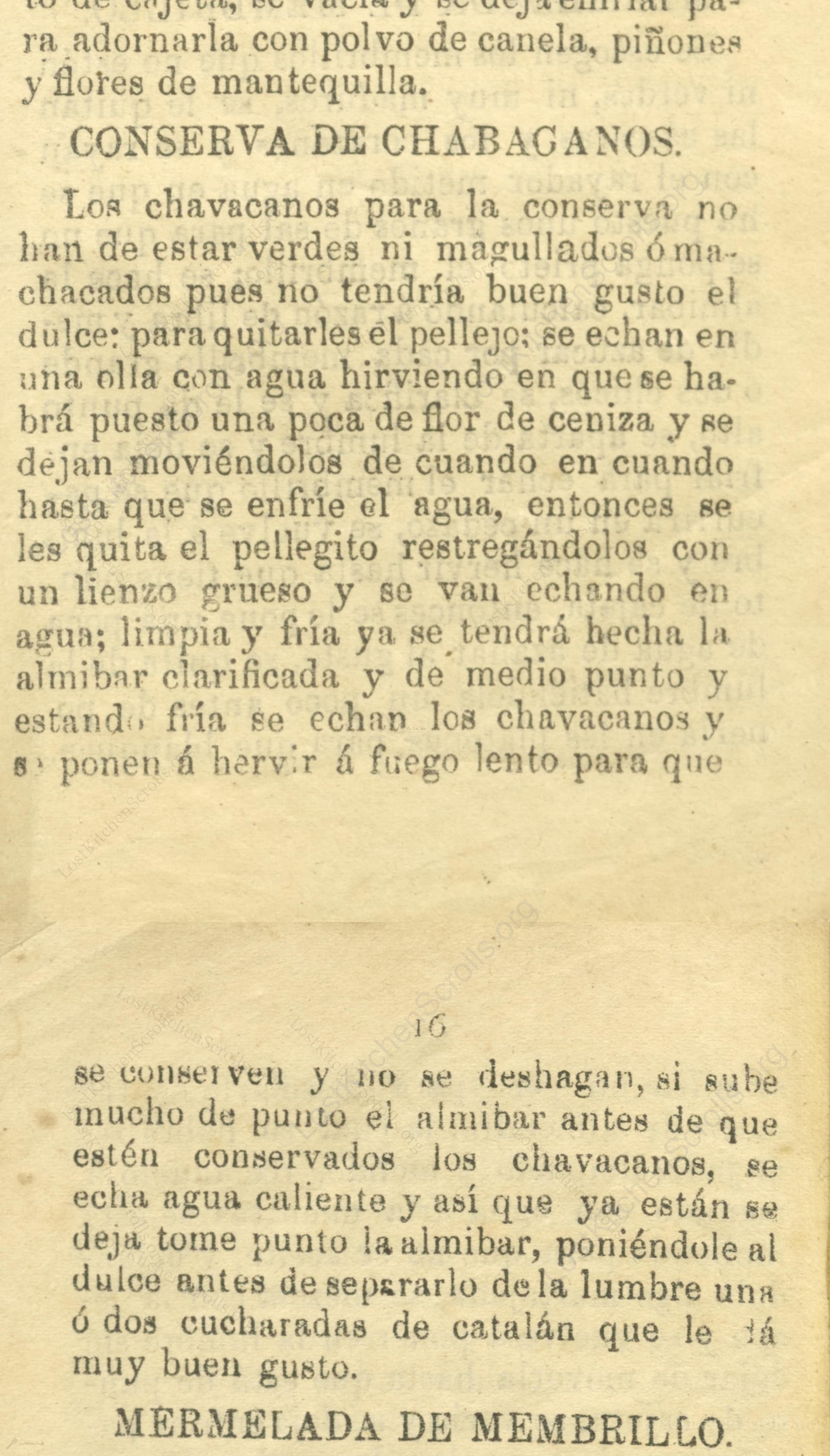 Conserva De Chabacanos