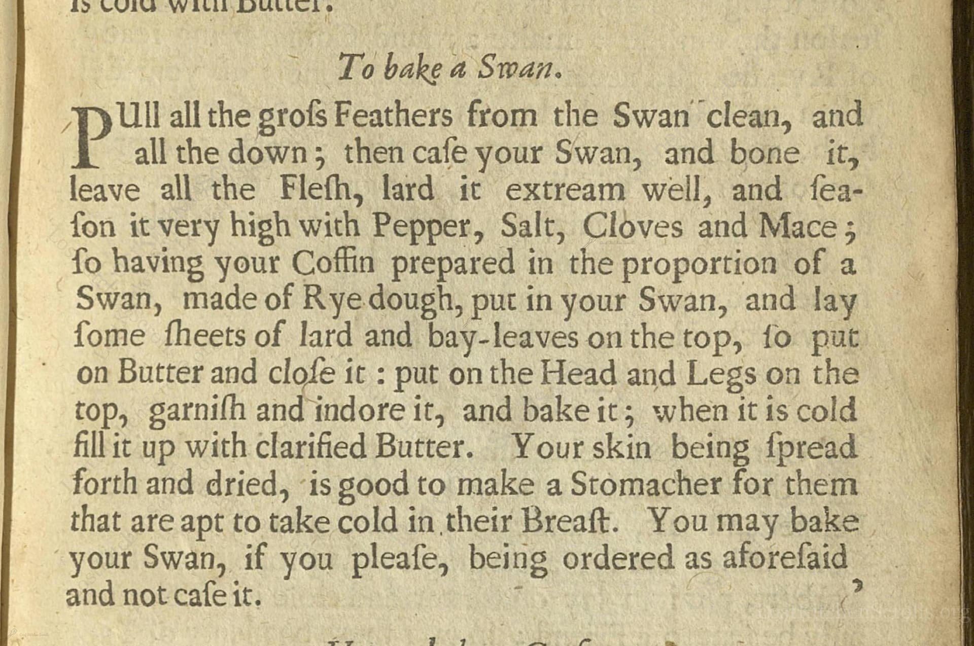 To Bake A Swan