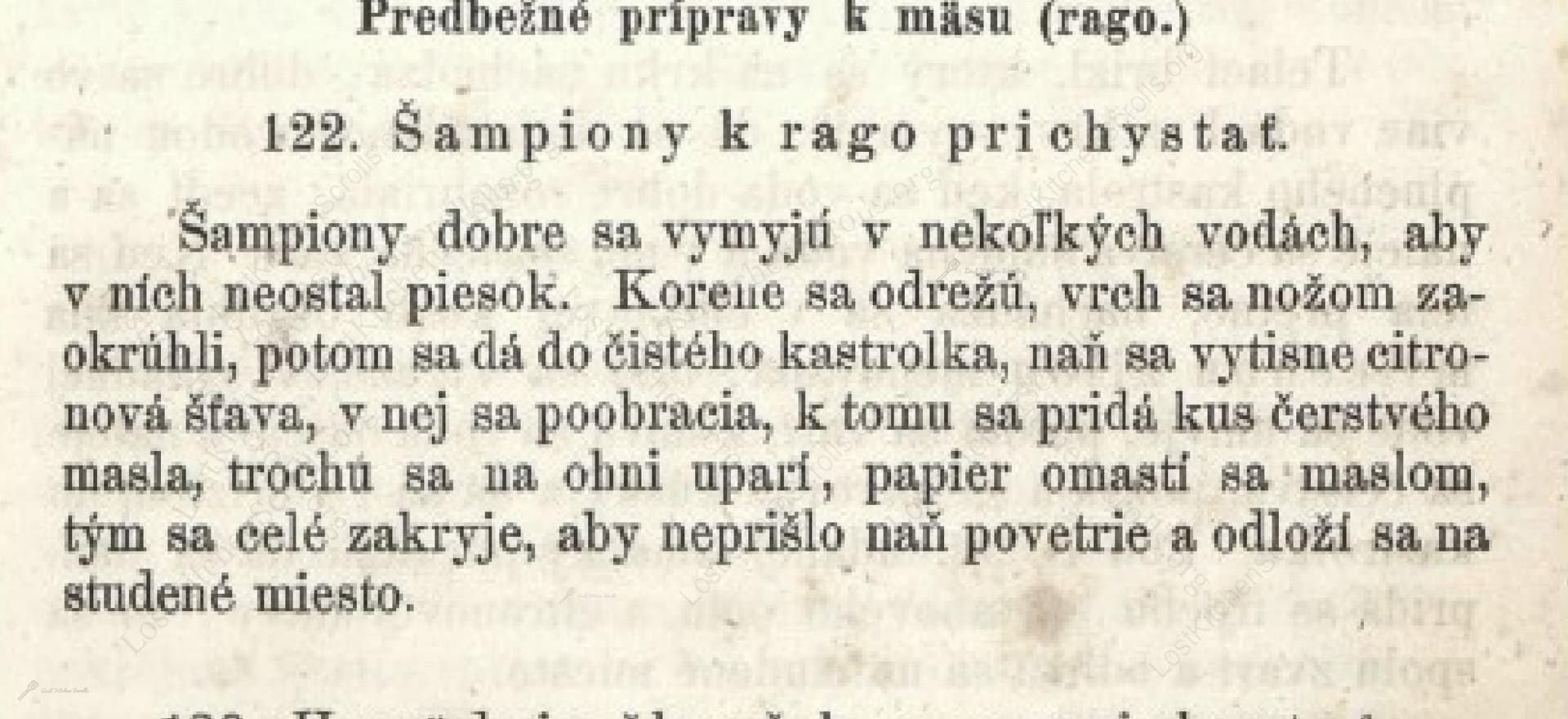 Šampióny K Rago Prichystat
