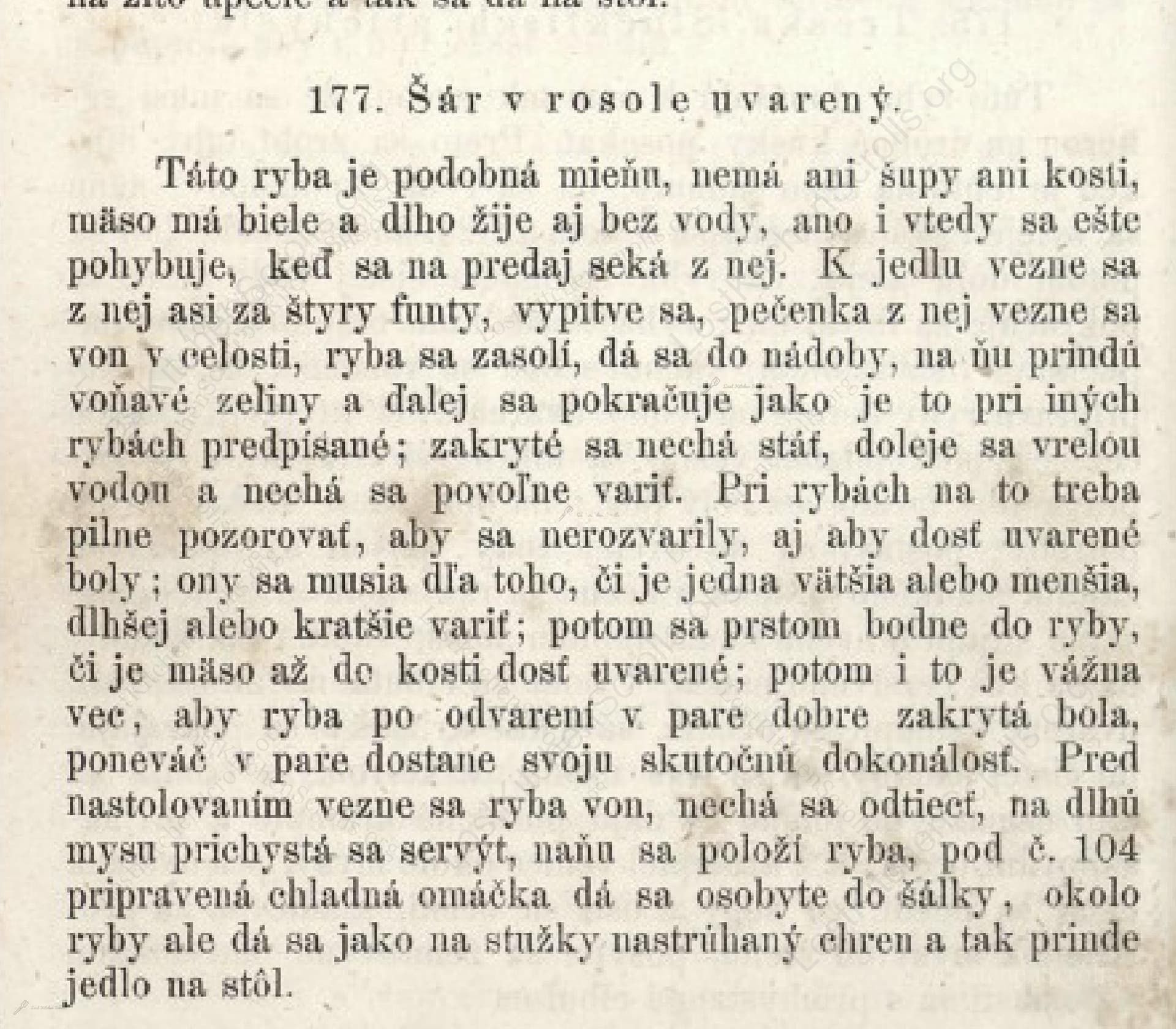 Šár V Rosole Uvarený